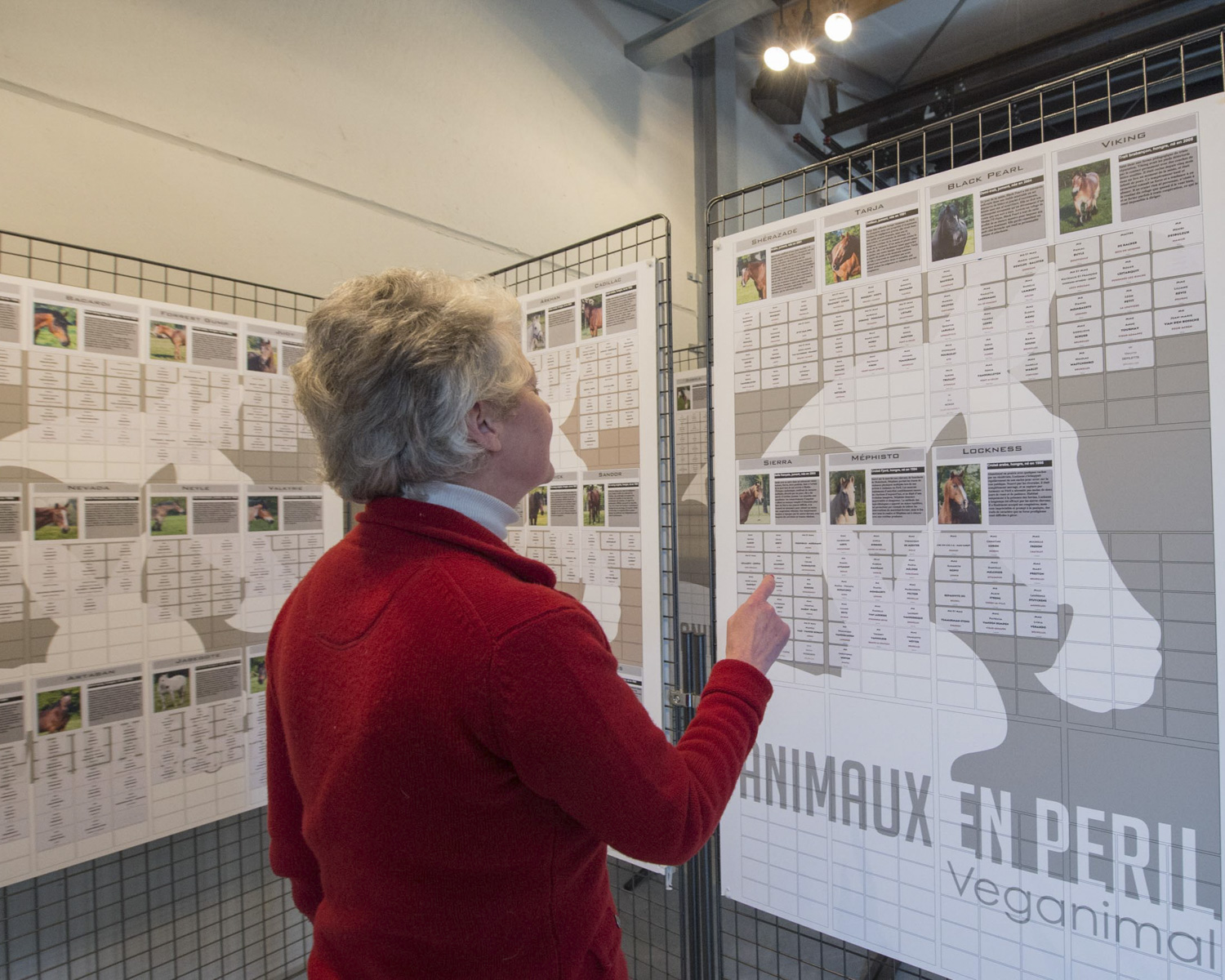 Le centre d'accueil pour visiteurs