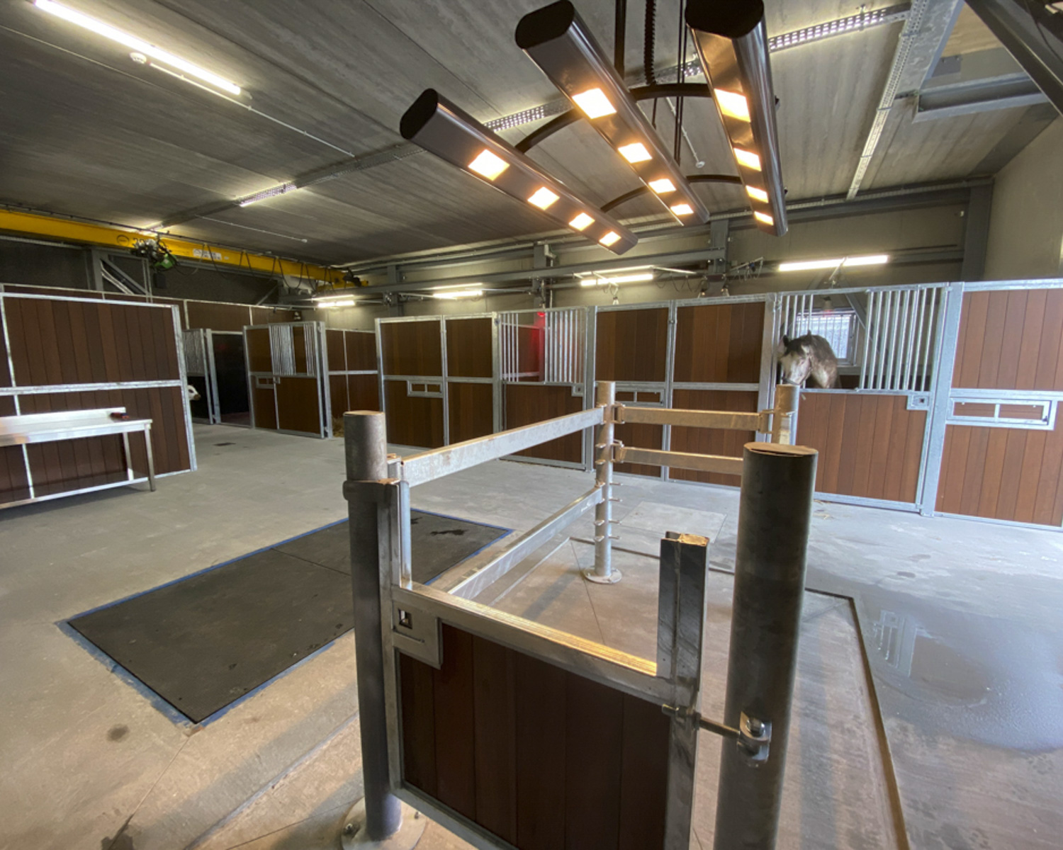 L'unité de soins et de quarantaine