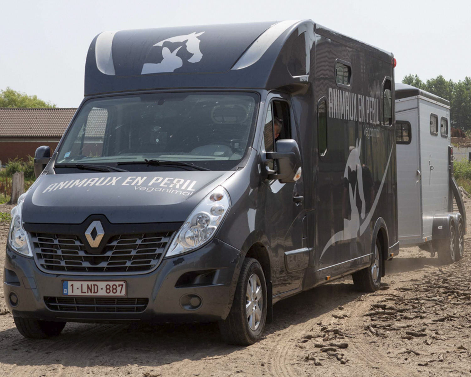 Le transport pour animaux