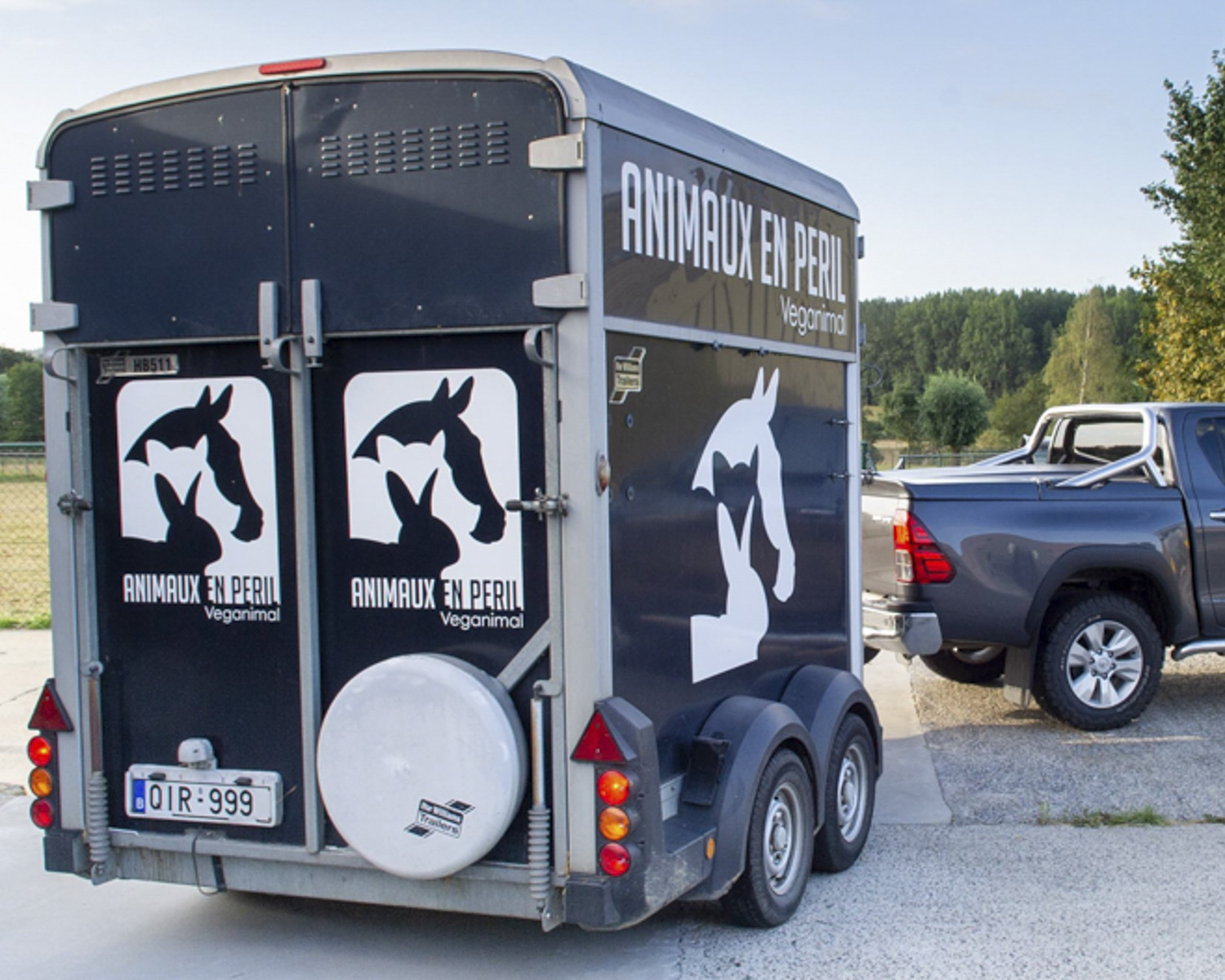 Le transport pour animaux
