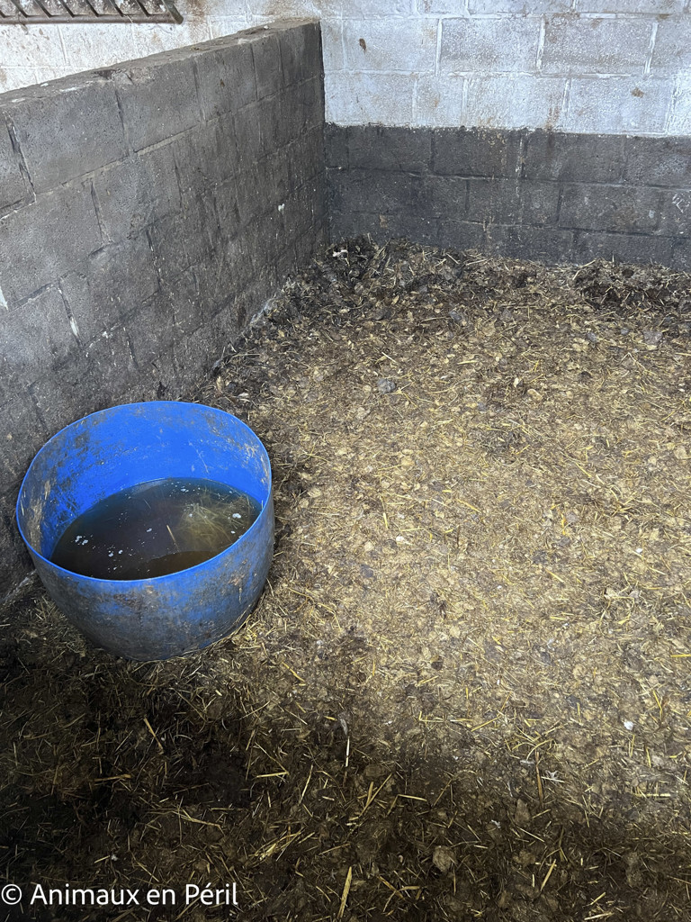 Sambreville : une trentaine d'animaux pris en charge 