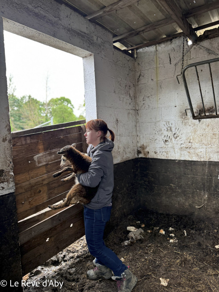 Sambreville : une trentaine d'animaux pris en charge 