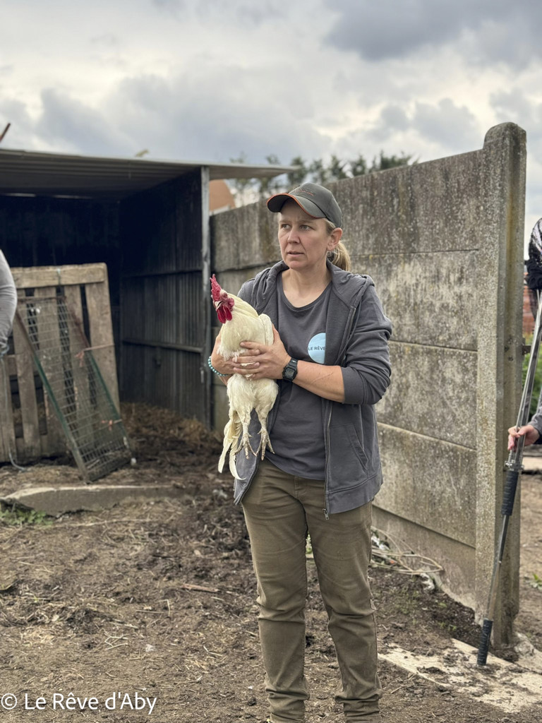 Sambreville : une trentaine d'animaux pris en charge 