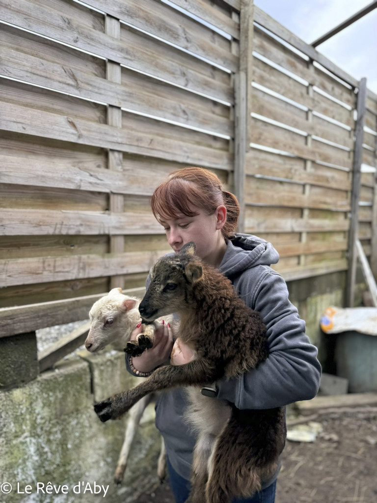 Sambreville : une trentaine d'animaux pris en charge 